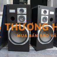 Loa Victor S-D7. Mới 99% nguyên Bản