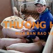XKLD Nhật Bản đơn hàng chăn nuôi lợn
