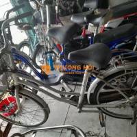 Bán xe đạp martin 107