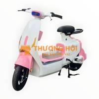 Xe đạp điện V1