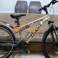 Xe đạp xịn cho các bạn cao 1m5+