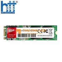 SSD Silicon Power M.2 2280 A55 SP256GBSS3A55M28 - Giá tốt