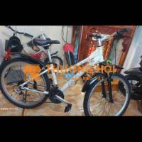 Xe đạp thể thao sườn nhôm bãi nhật