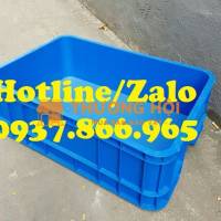 Thùng nhựa nguyên sinh B1, thùng đặc có nắp, khay cơ khí, khay nhựa bít