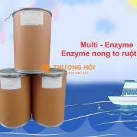 Multi enzyme - Nong to đường ruột, xử lý nước và đáy ao nuôi toàn diện