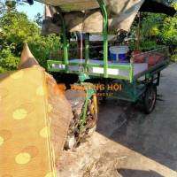 xe lôi cọc chết mình mua ở trong sg gửi ra