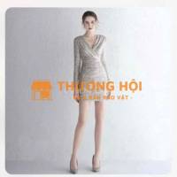 Váy dạ tiệc Thanh An dresss