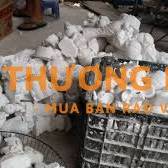 Cần tuyển Nam sản xuất đồ chơi tượng tô