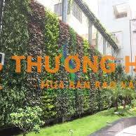 Tuyển NV chăm sóc cây xanh - Không sợ độ cao