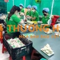 Cần tuyển nhân viên đóng gói