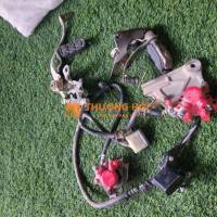 heo dầu trước sau của winer V1