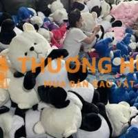 tuyển nam nữ lđpt