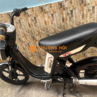 xe đap điện như hình sử dụng bình thường