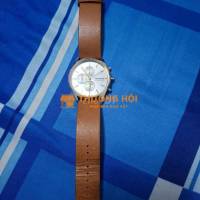 Đồng hồ Skagen skw6607