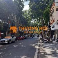 Biệt thự 4 tầng Võ Thị Sáu Lô Góc View Hồ 115m 36 tỷ.