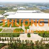 Tuyển lao động đi làm luôn tại Vĩnh Phúc