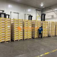 TUYỂN 3 NAM NHÂN VIÊN PHỤ KHO, ĐI LÀM NGAY