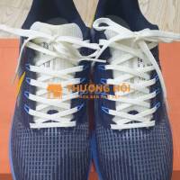 Nike Pegasus 39, size 43