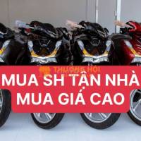 CHUYÊN THU SH CŨ TẬN NHÀ, GIÁ CAO