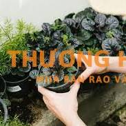 Tuyển 01 tạp vụ (biết nấu ăn) + 01 làm vườn