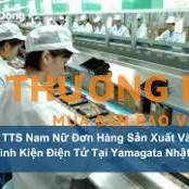 Đơn hàng sản xuất linh kiện điện tử làm việc tại Nhật Bản