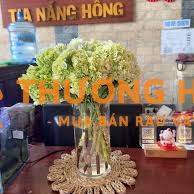 TUYỂN LỄ TÂN CA 7h-17h