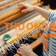 XKLD Đài Loan cần 2 nữ đi mới