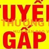 TUYỂN NAM NHÂN VIÊN ĐỨNG MÁY, VẬN HÀNG MÁY XAY, ĐÓNG GÓI, XẾP HÀNG