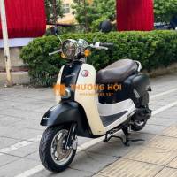Crea Scoopy 50cc máy zin sơn zin 100% 2023 mới