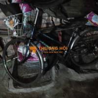 xe cào cào Nhật rất tốt