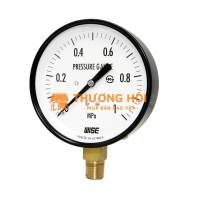 Đồng Hồ Đo Wise, Đồng Hồ Đo Áp Wise, Đồng Hồ Đo Áp Suất Wise