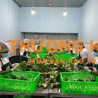 TUYỂN DỤNG NHÂN VIÊN SƠ CHẾ / ĐÓNG GÓI