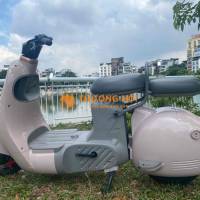 xe điện type 2