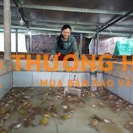 Tuyển người chăn nuôi lh +84 94 4841900