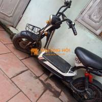 Xe máy điện 133S