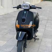VESPA ĐEN NHÁM BÌNH THIÊN NĂNG KHOẺ