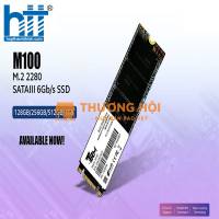 Ổ cứng SSD XTREND TRM M2 256GB M100 - Giá tốt