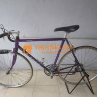 Thanh lý xe Miyata