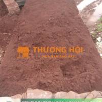 Bạn cần đất gì cho công trình cây xanh của mình? Đừng để công trình hàng tỷ đồng bị hỏng chỉ vì chọn sai loại đất.