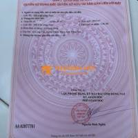 Đất nền Mặt Tiền đường Lê Hồng Phong Nhơn Trạch – Thích hợp cho thuê - kinh doanh dịch vụ.