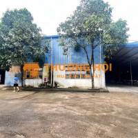 X105 chuyển nhượng nhà xưởng đang SX gỗ Xuất khẩu, khung thép kiên cố, giao liền