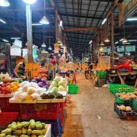 Cần tuyển Nam nhận và giao rau