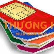 Tuyển Nhân Viên Giao Sim Số Đẹp tại TP. HCM