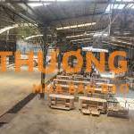 TUYỂN THỢ MỘC GỖ TỰ NHIÊN+ THỢ LẮP ĐẶT CÔNG TRÌNH