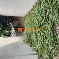 🌿 Bán đất Đề Trụ – Gia Lâm, 50m², nhỉnh 2 tỷ, ô tô tải vào đất.