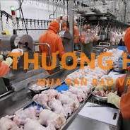 CẦN TUYỂN 20 CÔNG NHÂN SẢN XUẤT