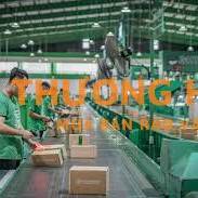 tuyển nhân viên xử lý hàng hóa