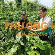 Tuyển Kỹ sư Nông nghiệp khu vực Đắk Lắk