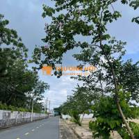 PHƯỚC ĐÔNG NEW CITY – “ĐÓN SÓNG” TĂNG GIÁ BẤT ĐỘNG SẢN