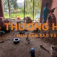 Cần tuyển 1 nam phụ cắt đục rãnh điện nước
